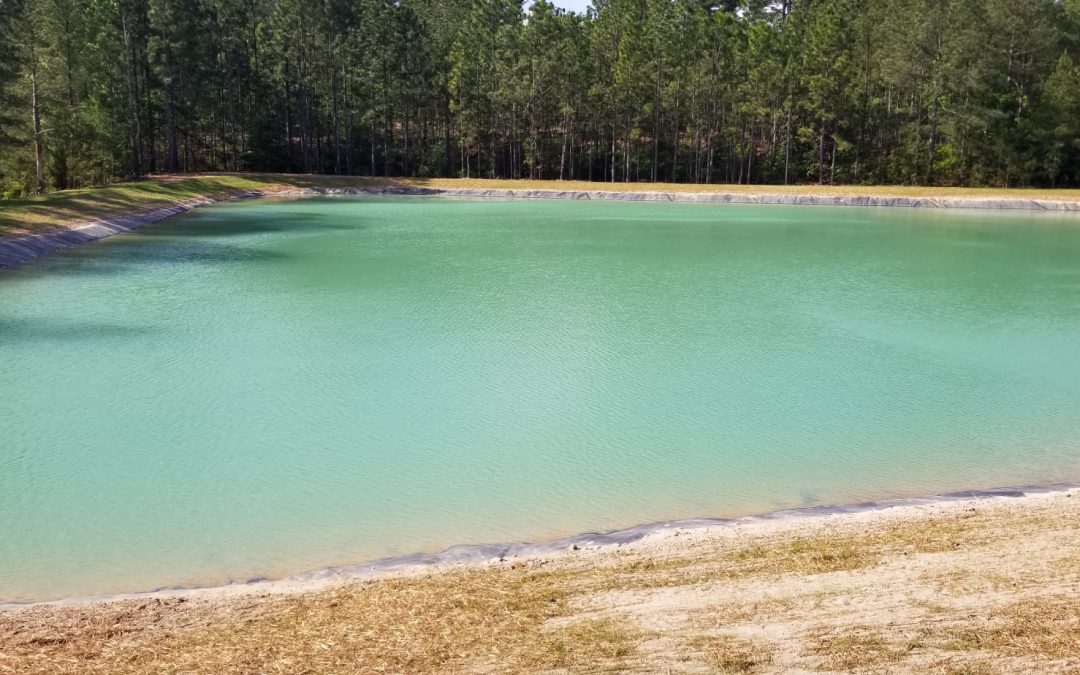 Central Vehicle Wash Facility Pond Liner Replacement