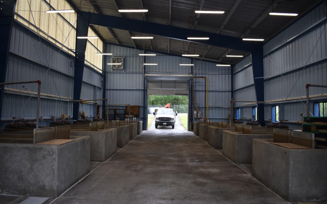 Design Fish Kettles and Renovate Shad Building